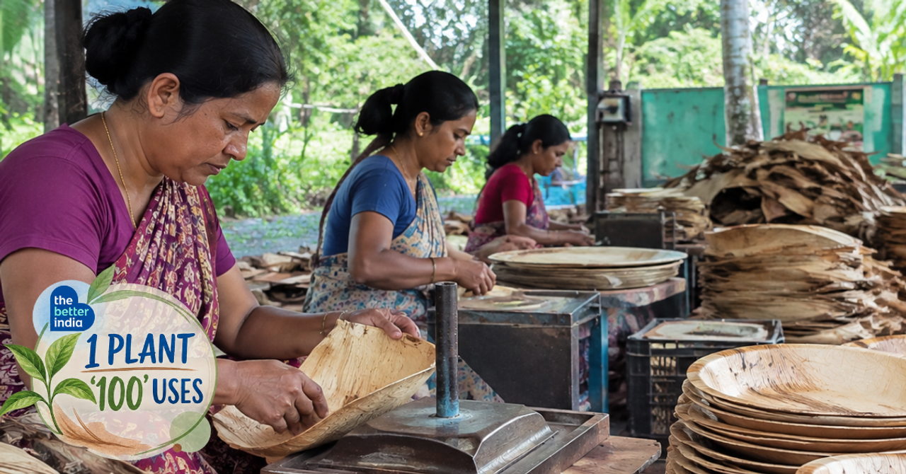 Cover from The Better India: How Farmers Turn Areca Palm Waste Into Useful Productsgoogle-newsgoogle-news