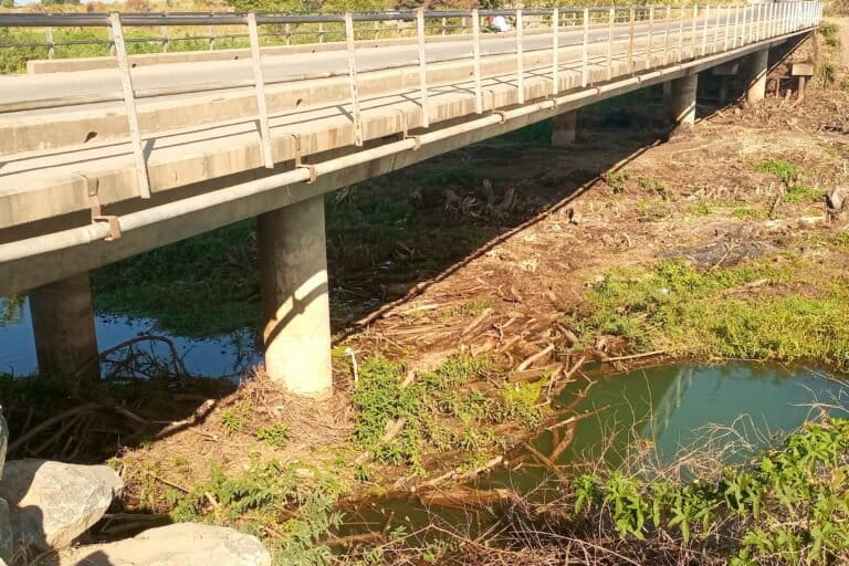 Cover from Mongabay: Floating weeds threaten farming and fishing at Malawi’s Chia Lagoon