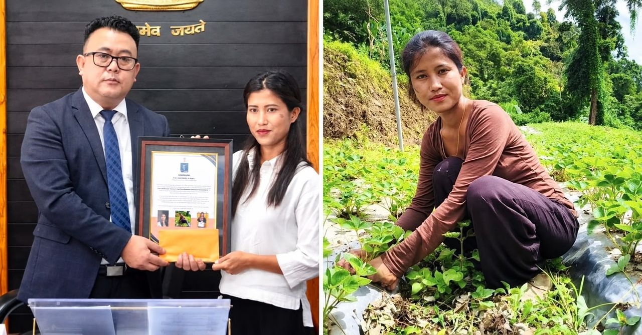 Cover from The Better India: Mizoram Strawberry Farmer Among FAO’s 100 Women Heroesgoogle-newsgoogle-news
