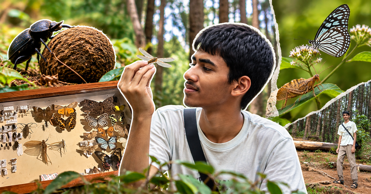 Cover from The Better India: While the World Scrolls, This 17-YO Stops To Watch Beetles Build Civilisationsgoogle-newsgoogle-news