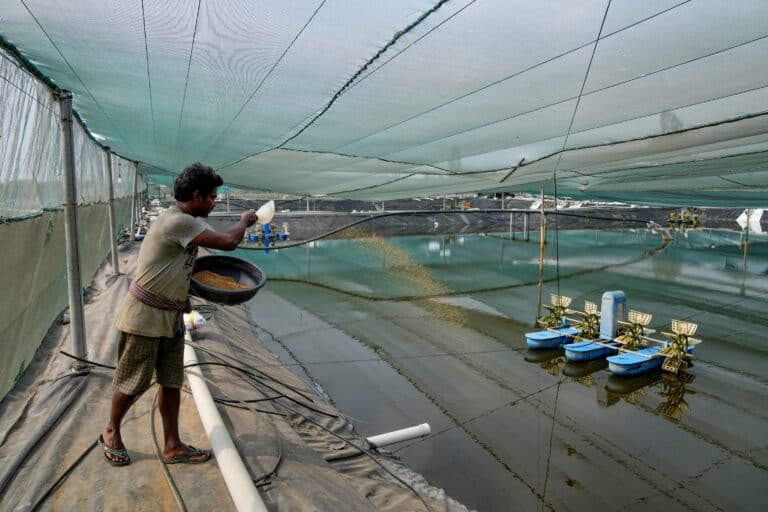 Cover from Mongabay: For Indian communities, fishmeal factories bring pollution, danger and protests